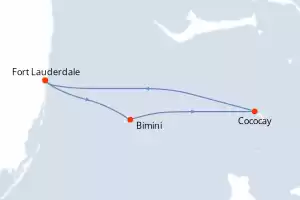 Celebrity Reflection