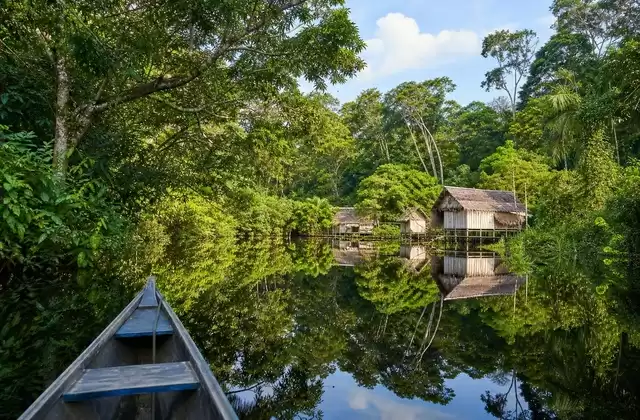 En la Amazonía