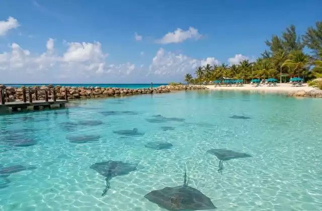 En Great Stirrup Cay (NCL)