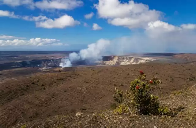 En Big Island