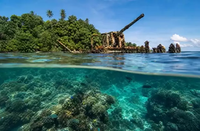 Alrededor de Kennedy Island