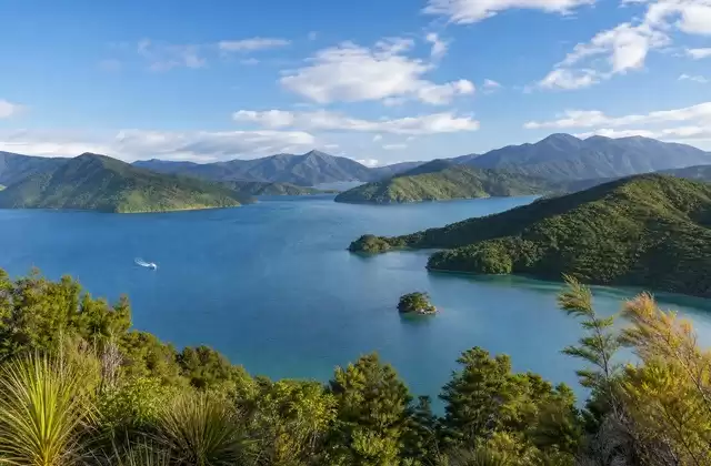 En los Marlborough Sounds