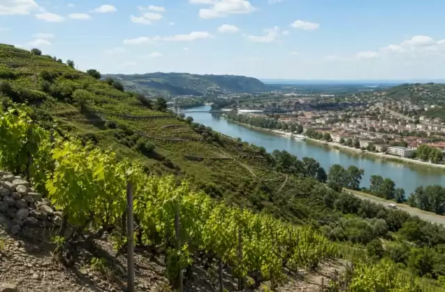 En Tain-l'Hermitage
