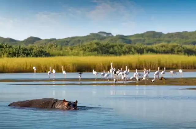 iSimangaliso Wetland Park
