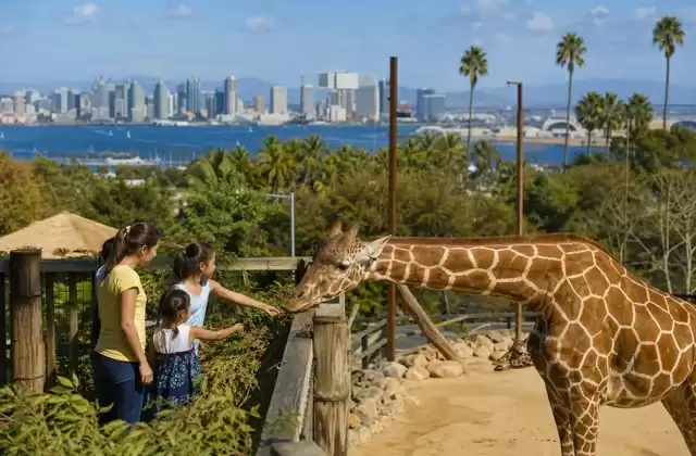San Diego