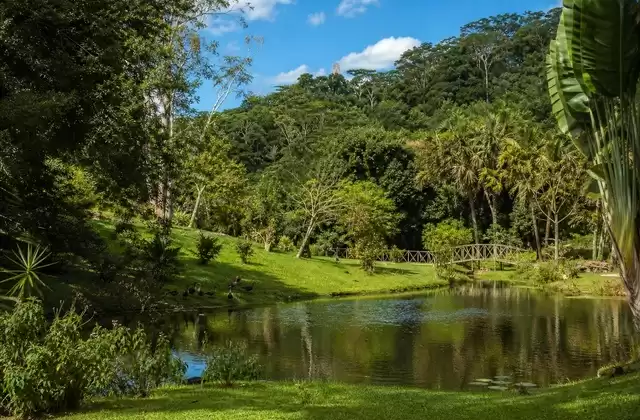 Parque Ivoloina