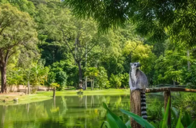 Parque Ivoloina