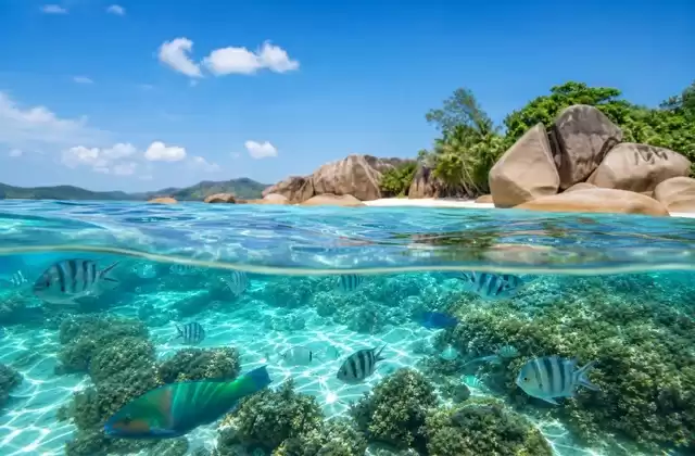 Praslin