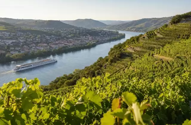 Los viñedos de Tain-l'Hermitage