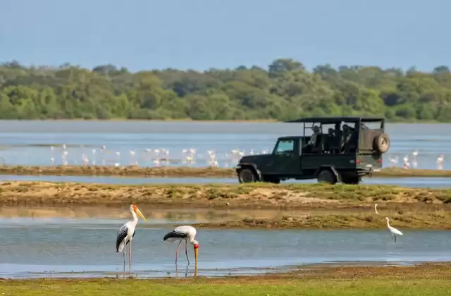 Bundala National Park