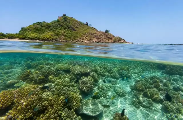Pigeon Island