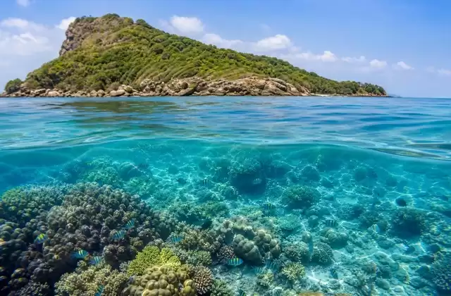 Pigeon Island